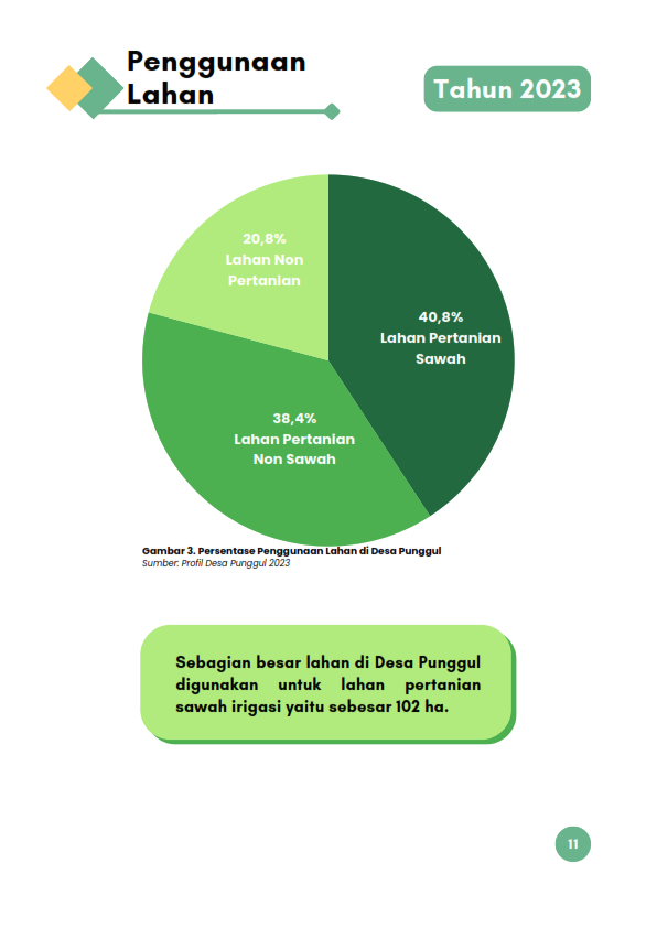 Publikasi Punggul Dalam Infografis 2024_017